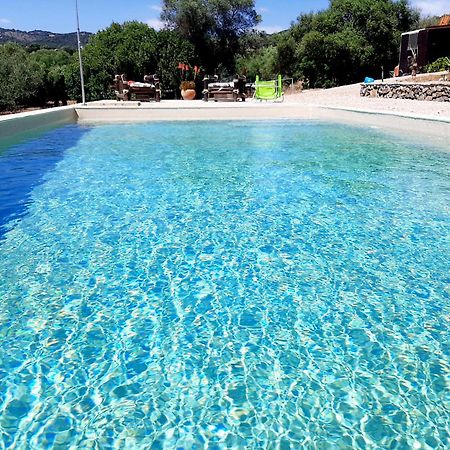 Cabana Rustica En Un Rancho Con Caballos, Prado Del Rey, Andalucia Εξωτερικό φωτογραφία