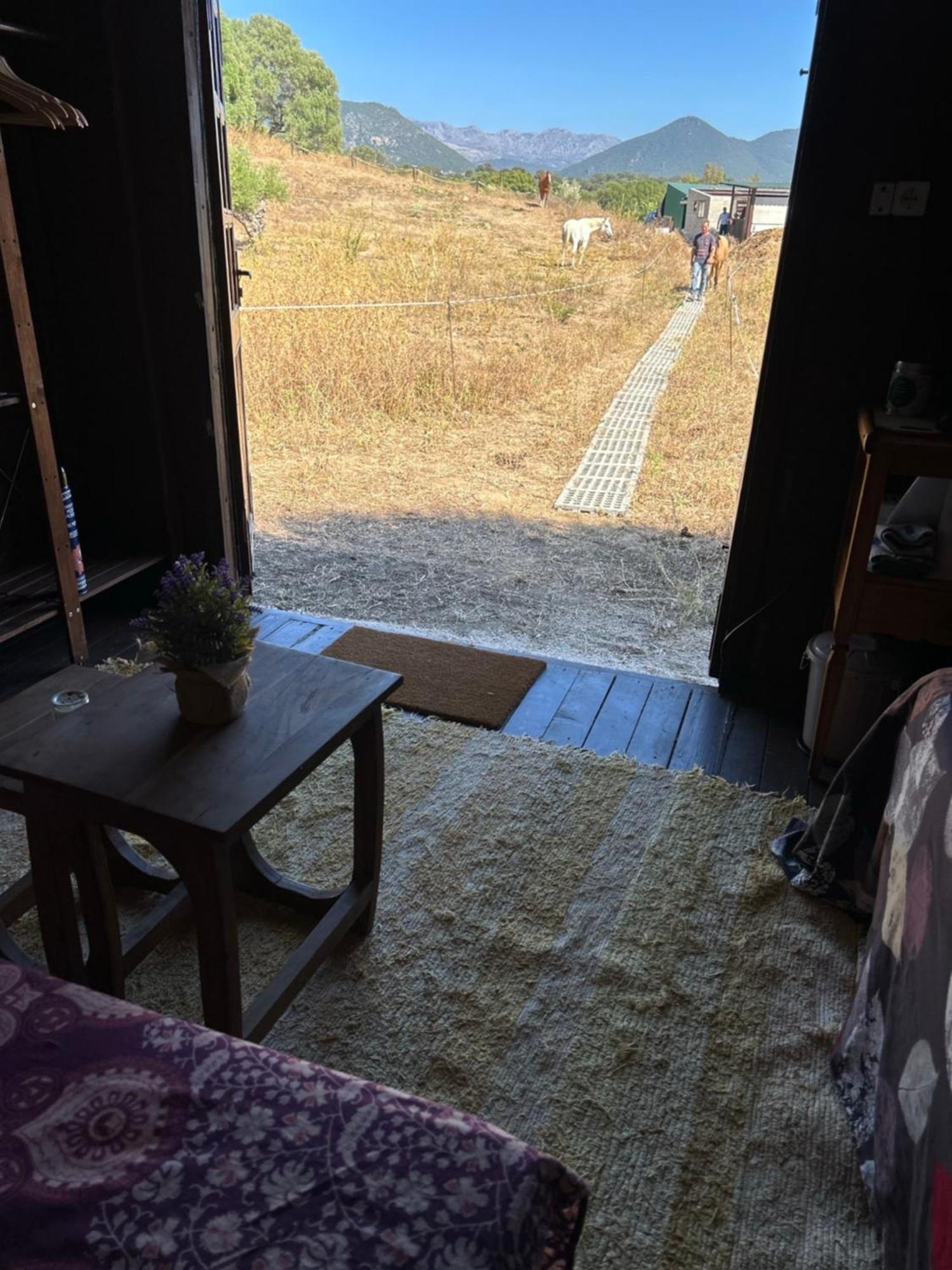Cabana Rustica En Un Rancho Con Caballos, Prado Del Rey, Andalucia Εξωτερικό φωτογραφία