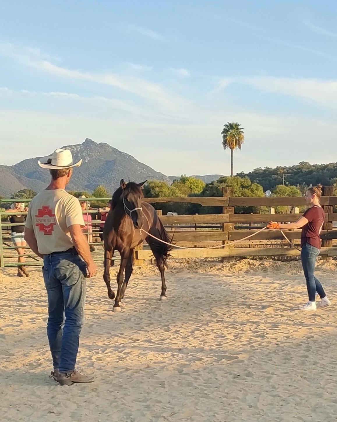 Cabana Rustica En Un Rancho Con Caballos, Prado Del Rey, Andalucia Εξωτερικό φωτογραφία