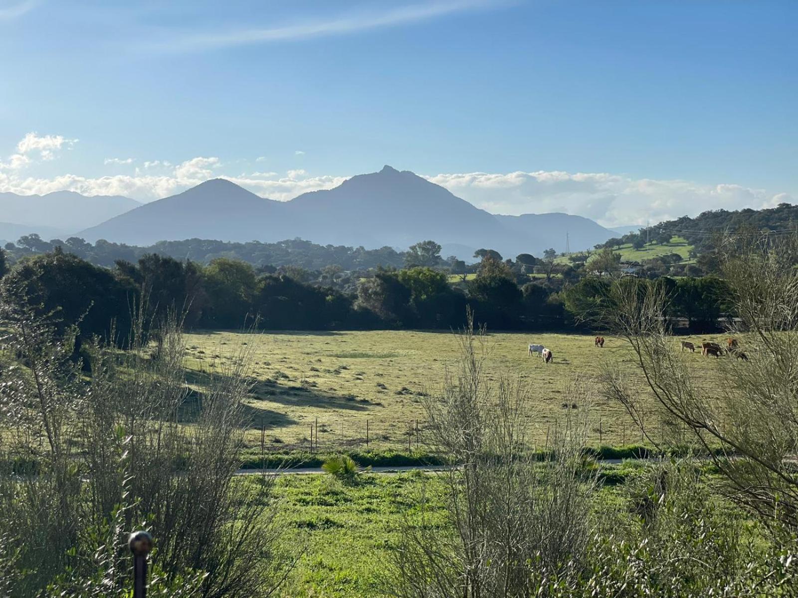 Cabana Rustica En Un Rancho Con Caballos, Prado Del Rey, Andalucia Εξωτερικό φωτογραφία