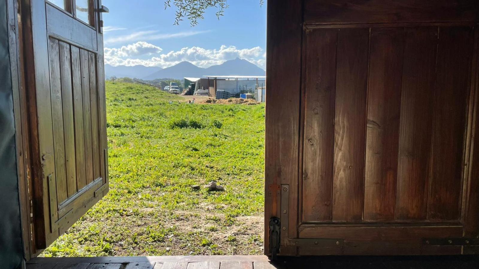 Cabana Rustica En Un Rancho Con Caballos, Prado Del Rey, Andalucia Εξωτερικό φωτογραφία