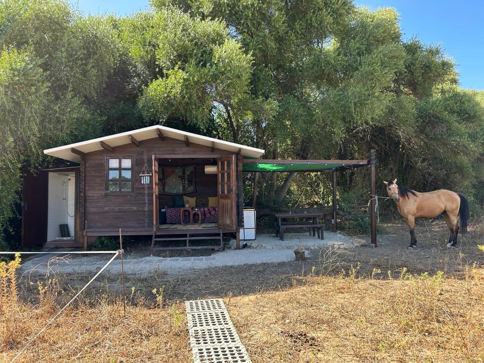 Cabana Rustica En Un Rancho Con Caballos, Prado Del Rey, Andalucia Εξωτερικό φωτογραφία