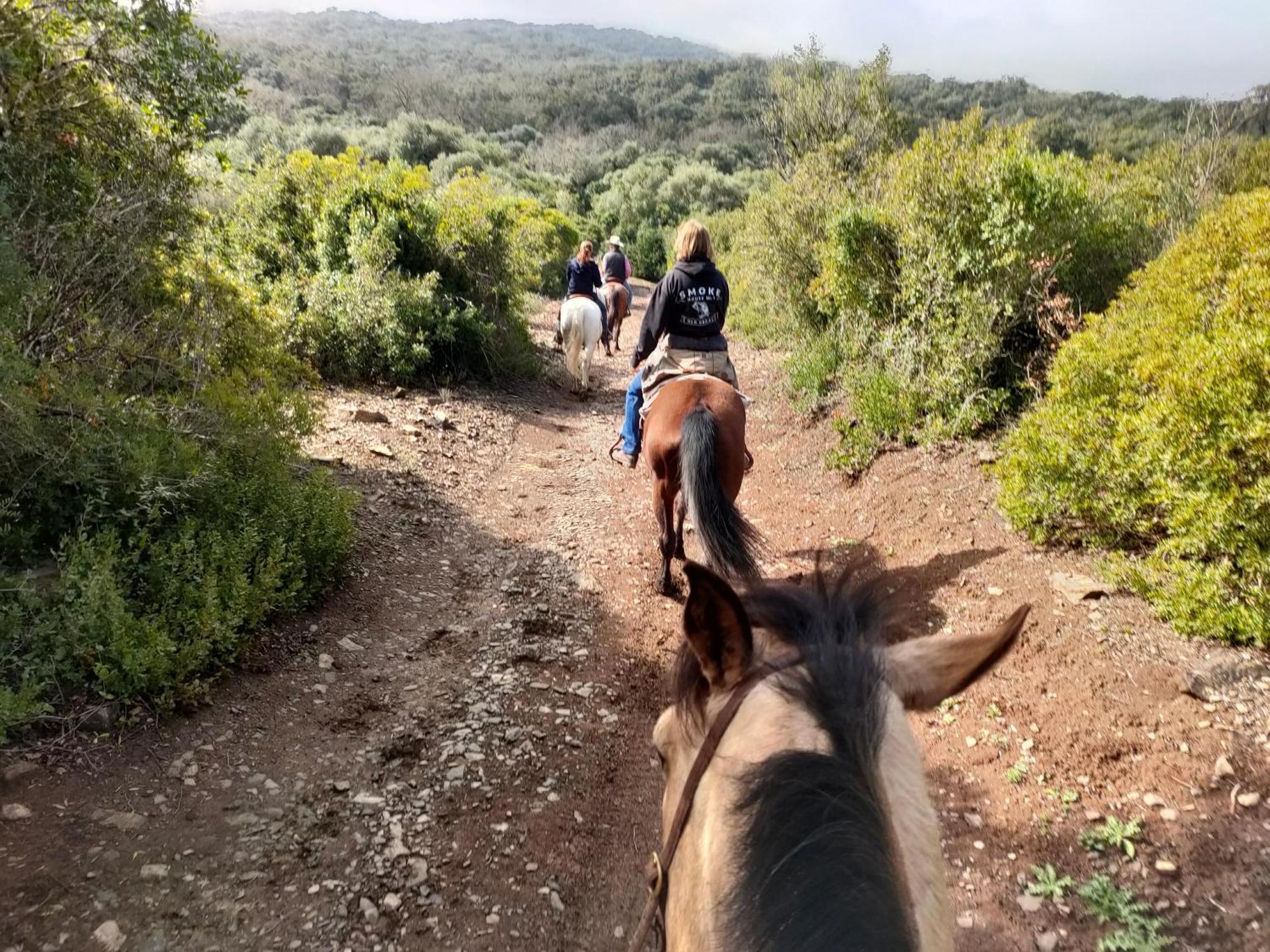 Cabana Rustica En Un Rancho Con Caballos, Prado Del Rey, Andalucia Εξωτερικό φωτογραφία