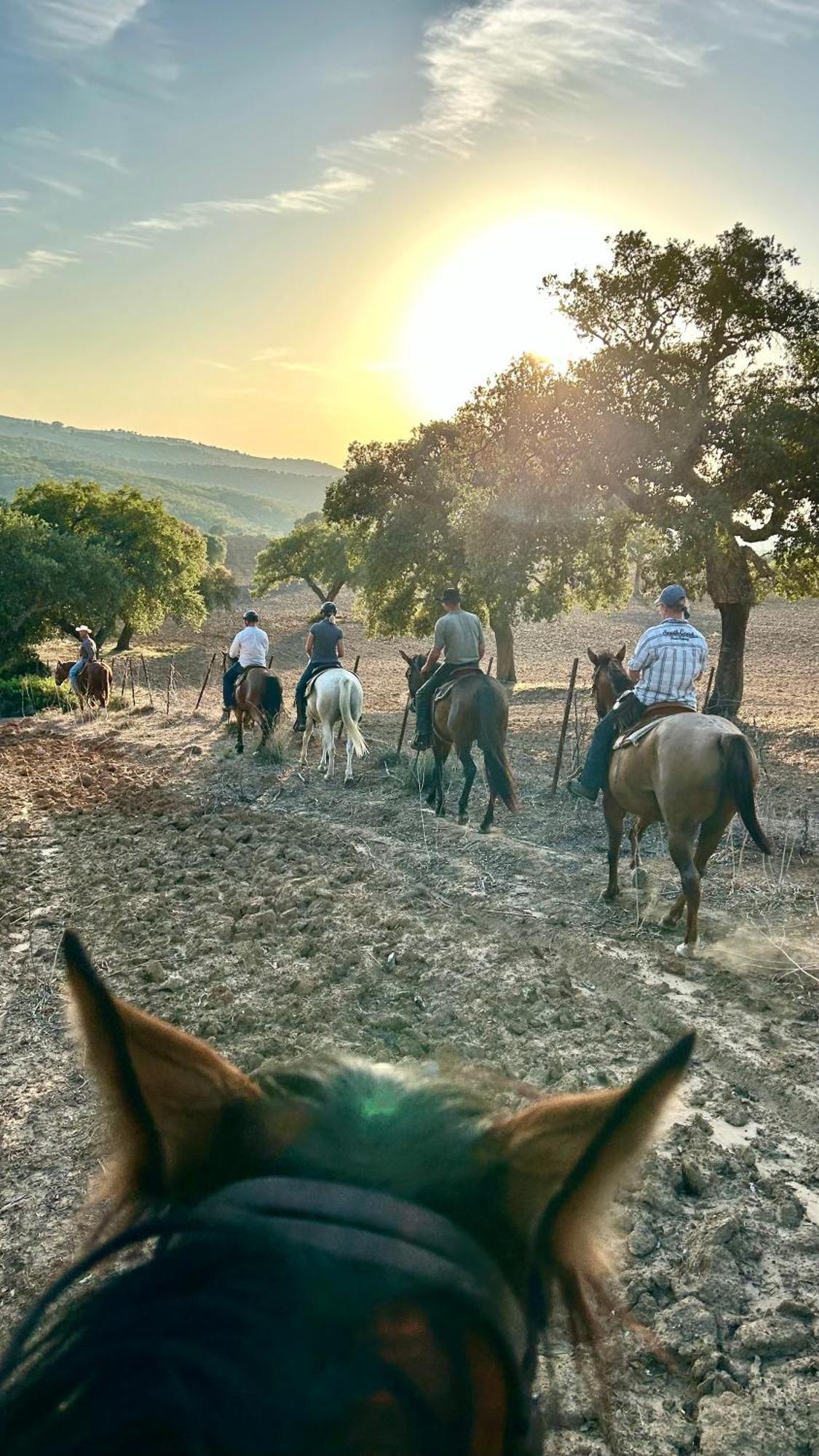 Cabana Rustica En Un Rancho Con Caballos, Prado Del Rey, Andalucia Εξωτερικό φωτογραφία